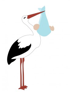 stork-220281